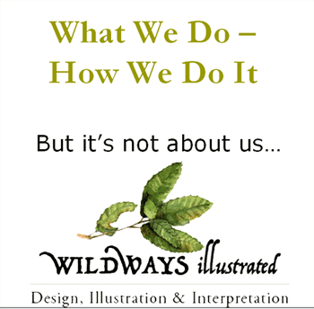 what we do, how we do it