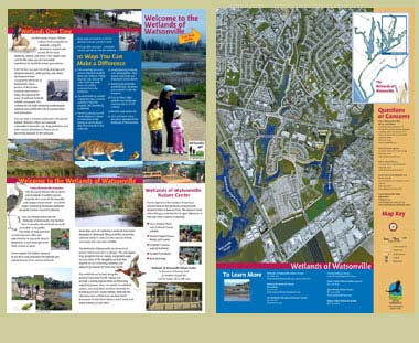wetlands of watsonville trail guide brochure, inside
