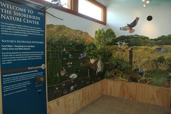 pajaro shorebirds wall mural