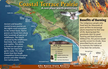 coastal terrace prairie panel