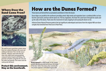 how dunes are formed panel