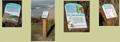 installed, interpretive trail panels