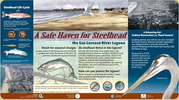 safe haven for steelhead panel