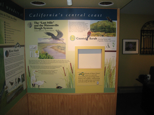 Nature Gallery at Pelican Point