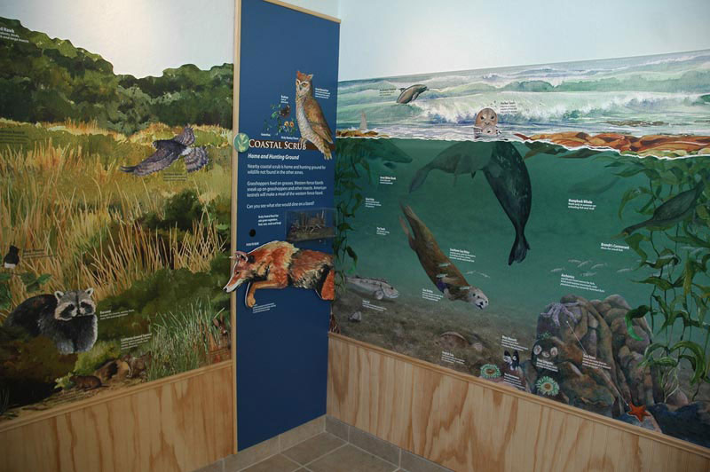 Nature Center at Shorebirds, Panel 2