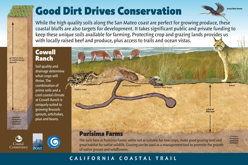 Cowell-Purisima Trail, Good Dirt Drives Conservation Panel
