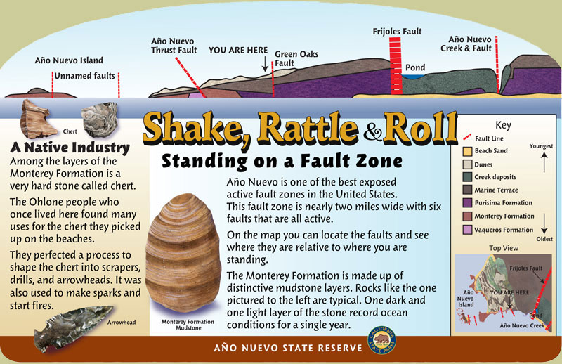 Año Nuevo State Reserve, Geology Panel