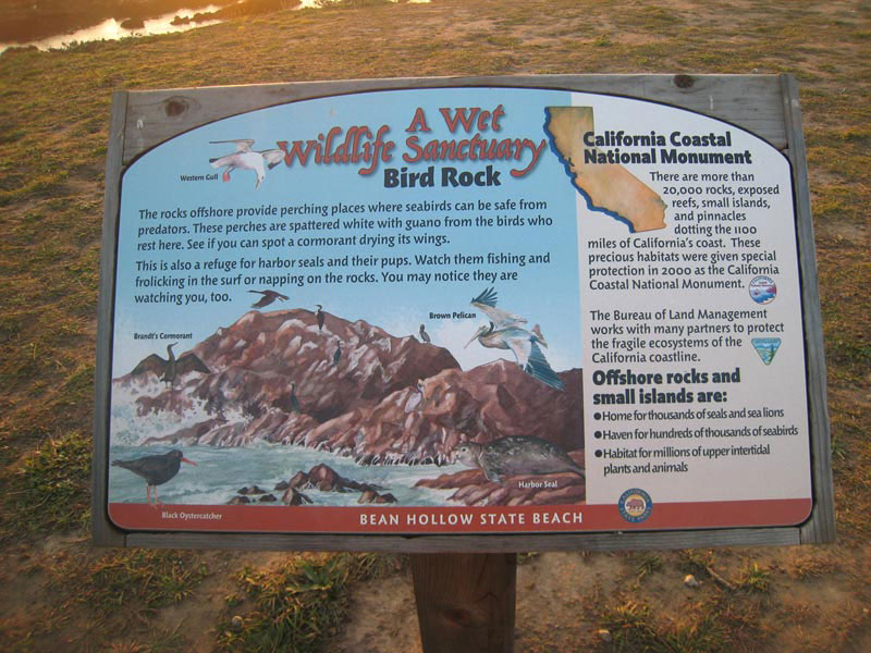 Bean Hollow State Beach, Installed Bird Rock Panel