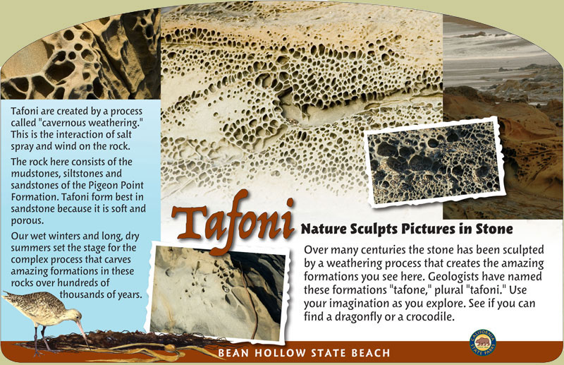 Bean Hollow State Beach, Tafoni Panel