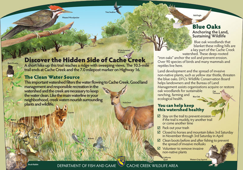 Cache Creek Wildlife Area