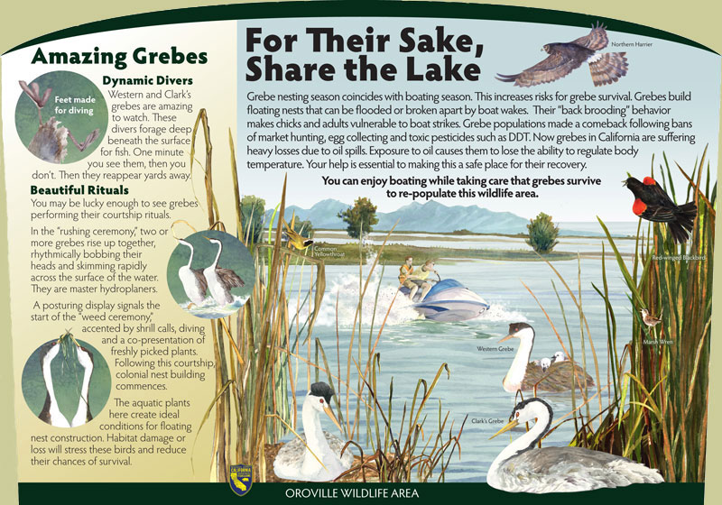 Oroville Wildlife Area, Panel 1